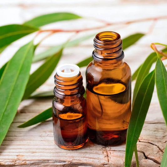 Eucalyptus Essential Oil