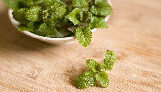 Spearmint essential oil