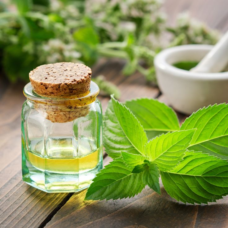 Peppermint Essential Oil Spray  My Life Feels a Bit Less Chaotic Because of This Tiny Bottle