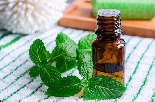 Why I Always Keep Peppermint Essential Oil in My Bag.